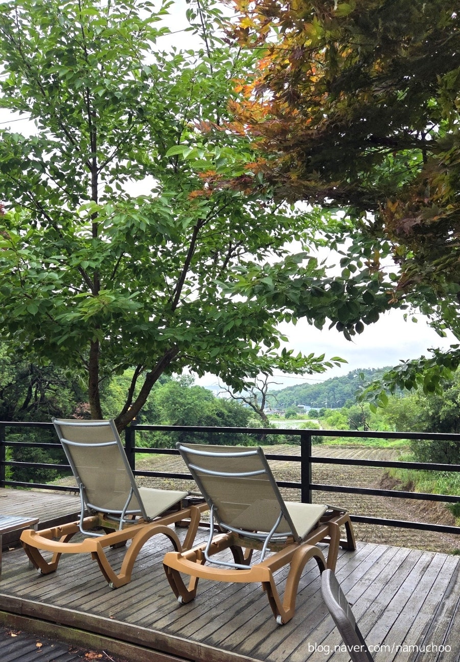 미몽 사진 5