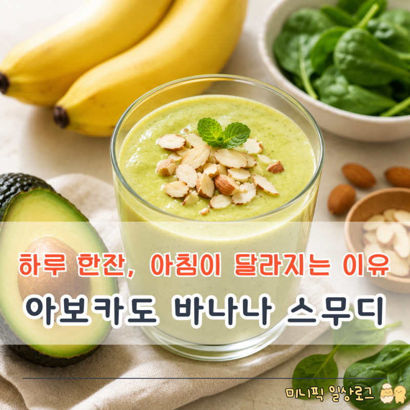 아보카도 바나나 스무디 레시피 , 든든한 건강식단 아침 루틴으로 딱 좋아요!!