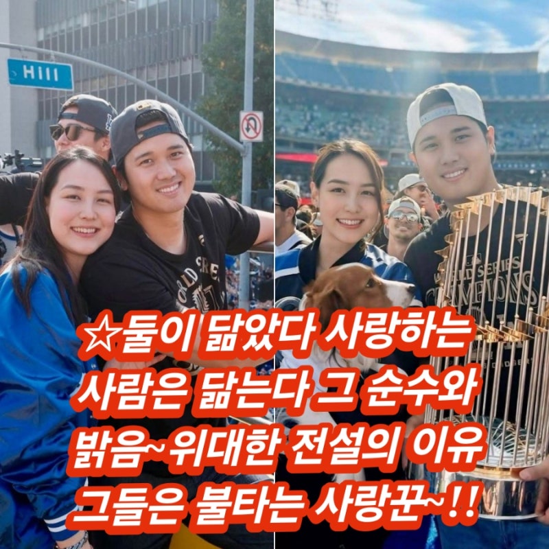 대반전 초고속 둘의 러브 출산 스토리~!! 깜짝 둘째 출산 LA 다저스 오타니 쇼헤이 두 아이의 ....