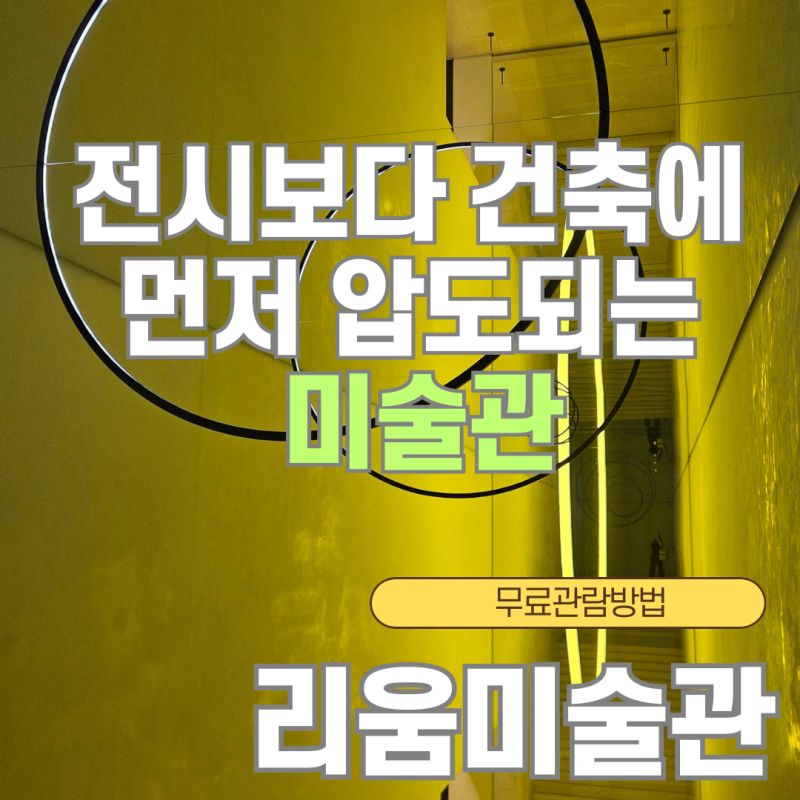 리움미술관 전시 리움미술관 관람방법 리움미술관 주차 리움 박물관 무료 리움미술관 맛집