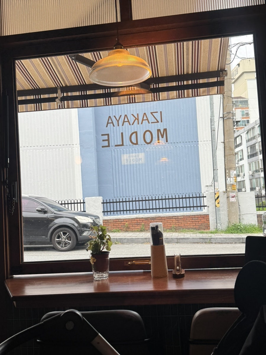 모들 사진 4
