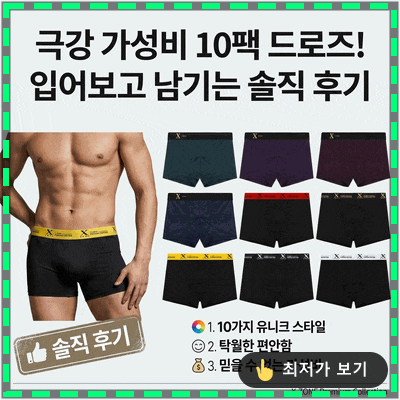 가성비 끝판왕 TRY 남자 팬티 드로즈 10매 세트 직접 입어본 솔직 후기
