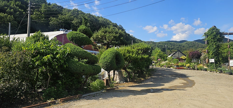 퇴촌식물원 사진 2