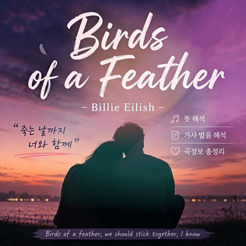 Billie Eilish_ Birds of a Feather 가사 해석 발음