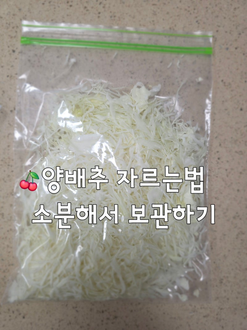 양배추 자르는법 용도별로 소분하는 방법 추천드려요