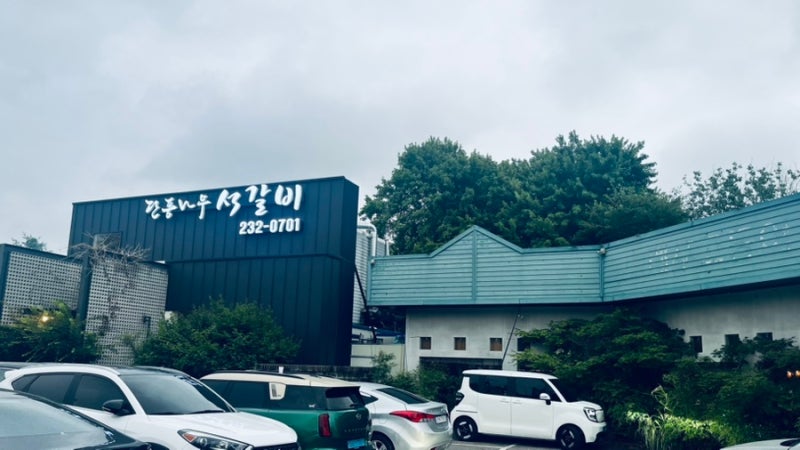 ✔️ 단풍나무 석갈비