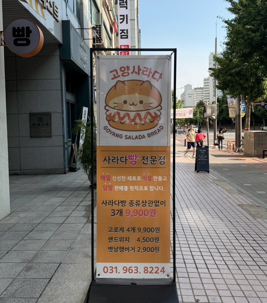 고양사라다 사진 2