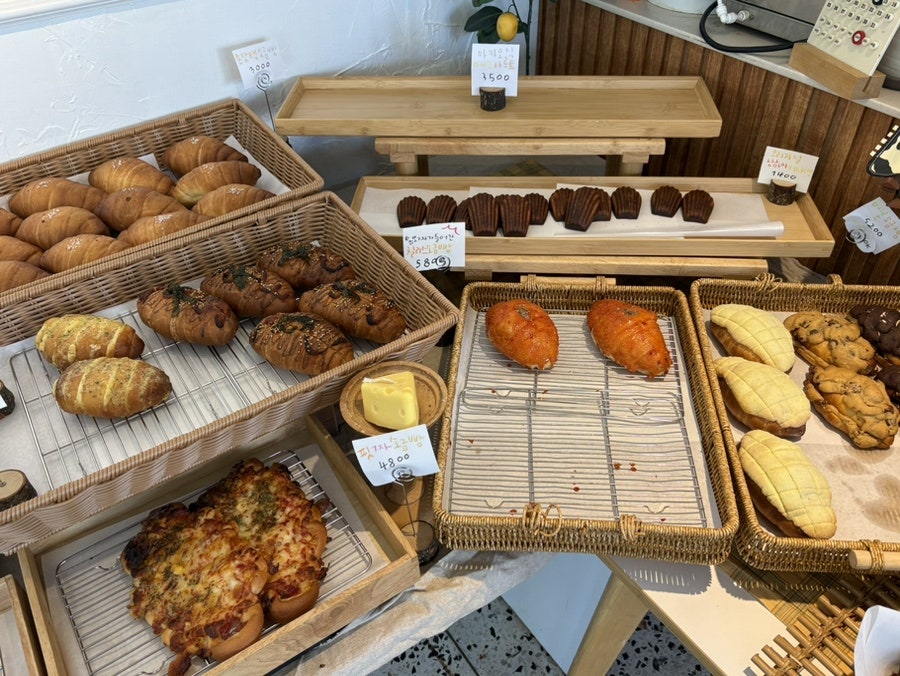 조르마르댕 사진 6