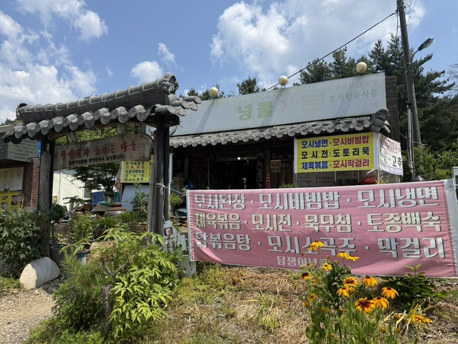 담쟁이넝쿨가든 사진 1