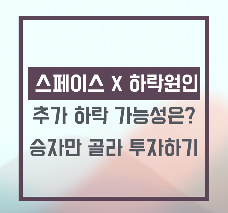 <b>스페이스X</b> 이틀 연속 하락 원인은?
