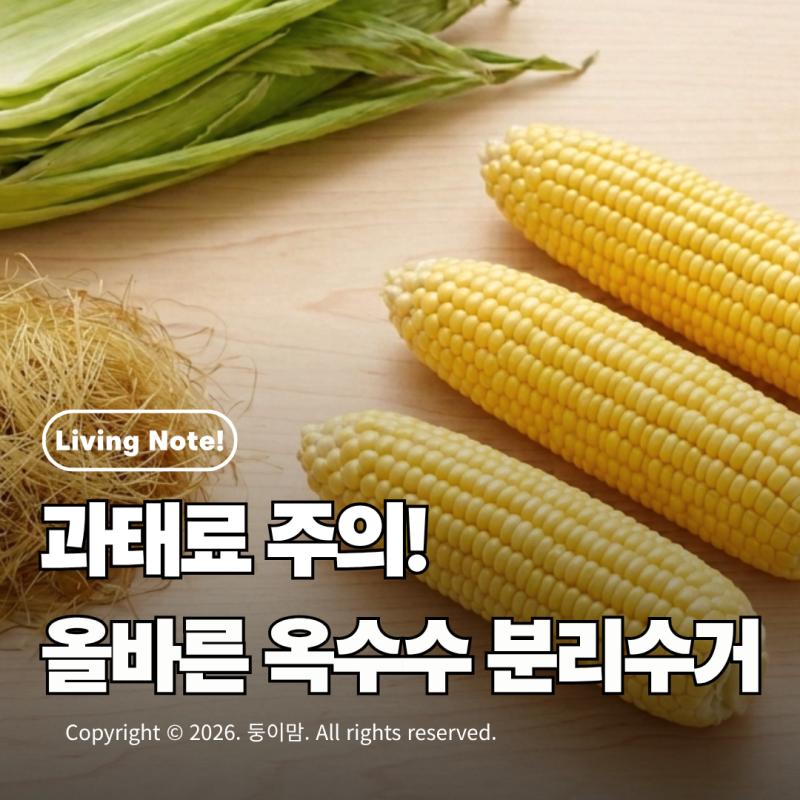 옥수수껍질 일반쓰레기일까 음식물쓰레기일까 | 옥수수 분리수거 완벽 가이드