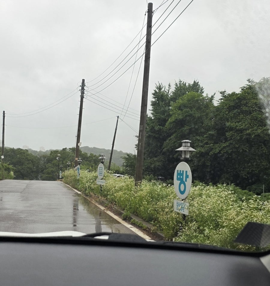 달도롱 사진 3