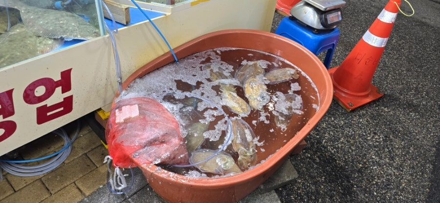 미순네 사진 3