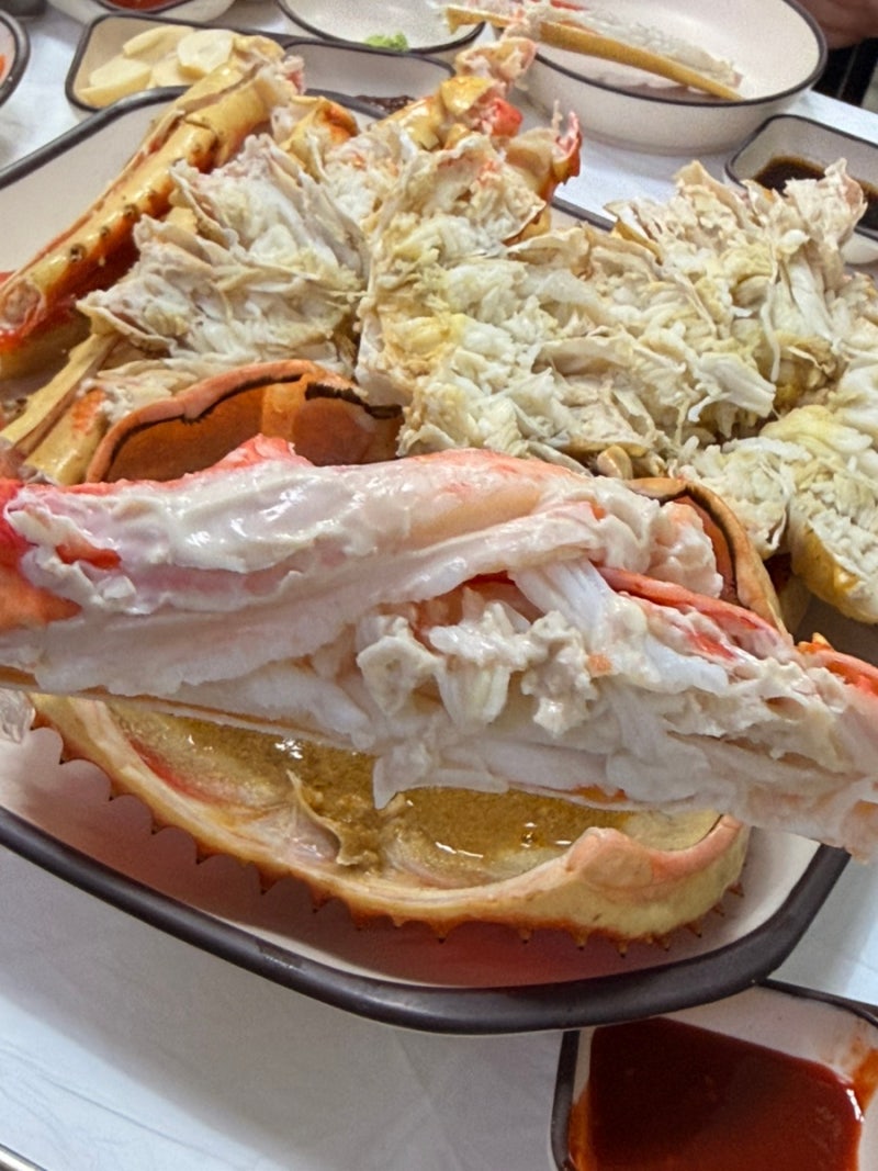 [동해/묵호] 킹크랩 대게 맛있다! 동해 묵호항 맛집 | 묵호항 대게는여기 (가미수산, 이모식당....