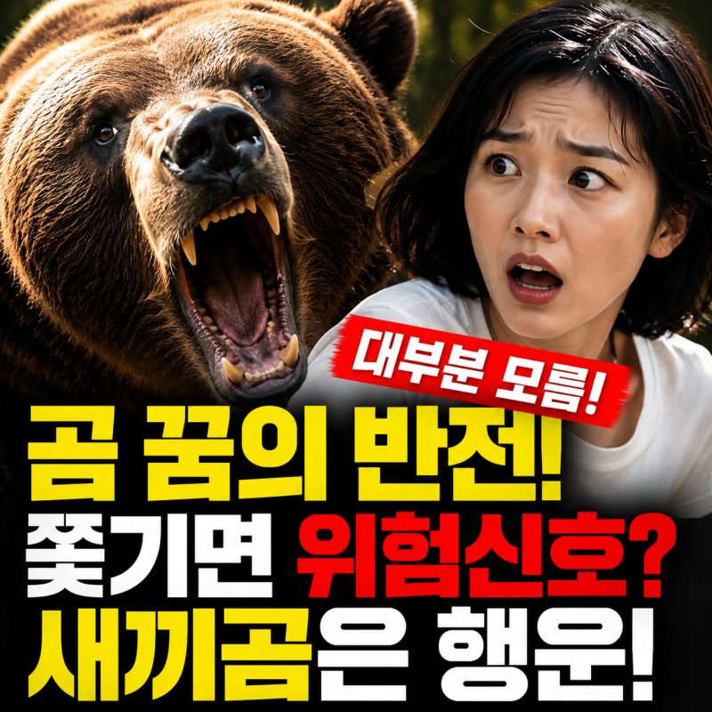 곰꿈 해몽 곰 나오는 꿈일까 쫓기는 꿈일까 새끼곰의 반전 의미