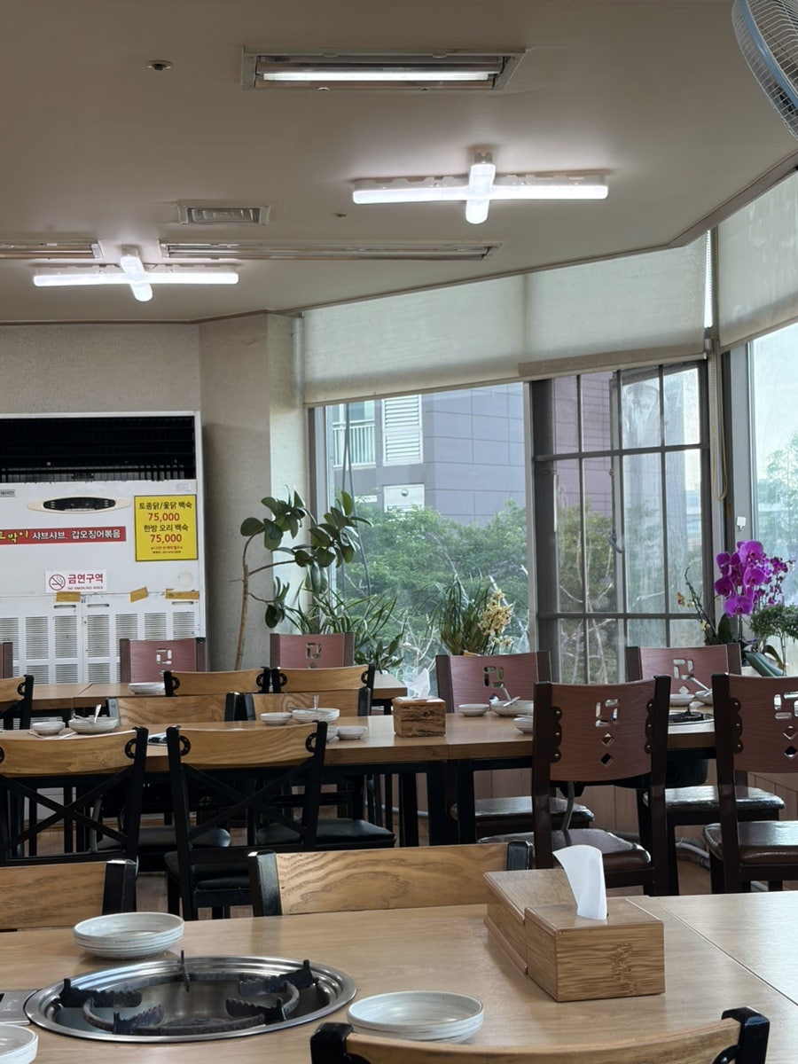 토박이샤브샤브 사진 4