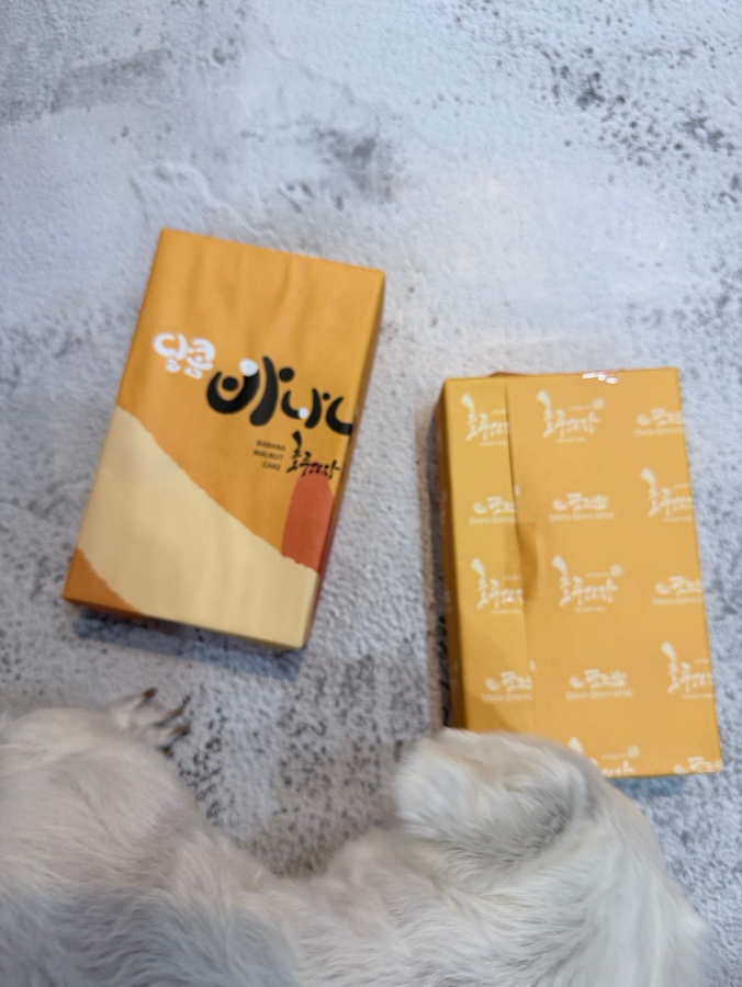 호도원 사진 2