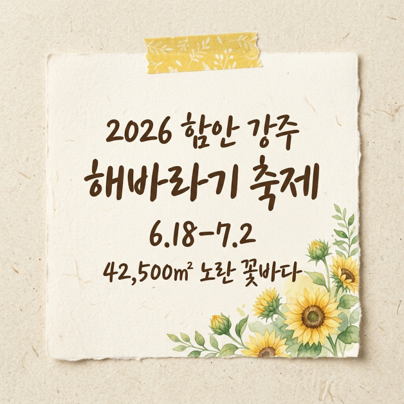 2026 함안 강주 해바라기 축제 42,500㎡ 노란 꽃바다·개화율·주차·포토존 완벽 가이드