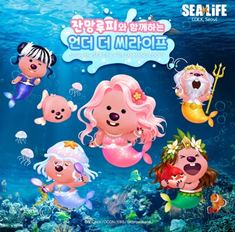 SEA LIFE 코엑스 아쿠아리움 입장료·공연시간·할인 완전 정복 (3살 아이와 솔직 후기, 가는법·....