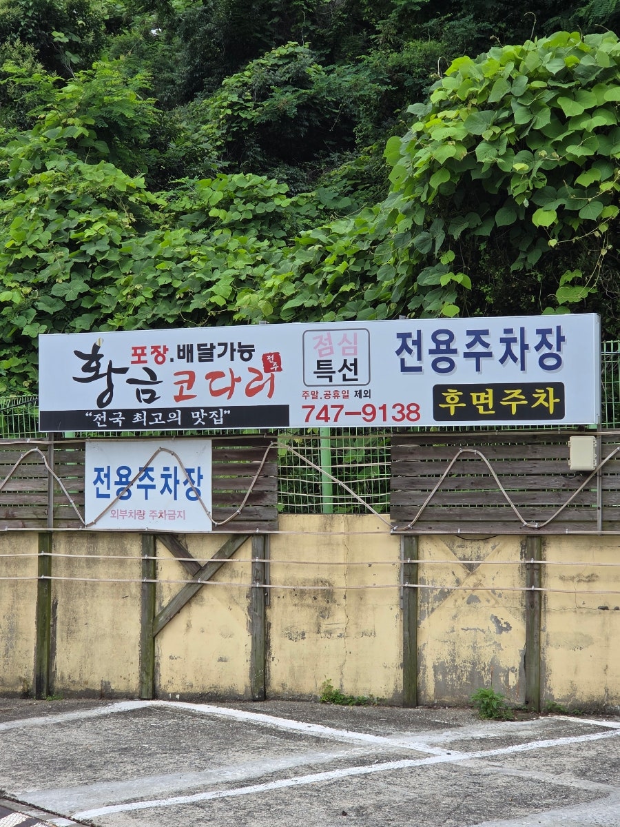 황금코다리 부산해운대점 사진 2