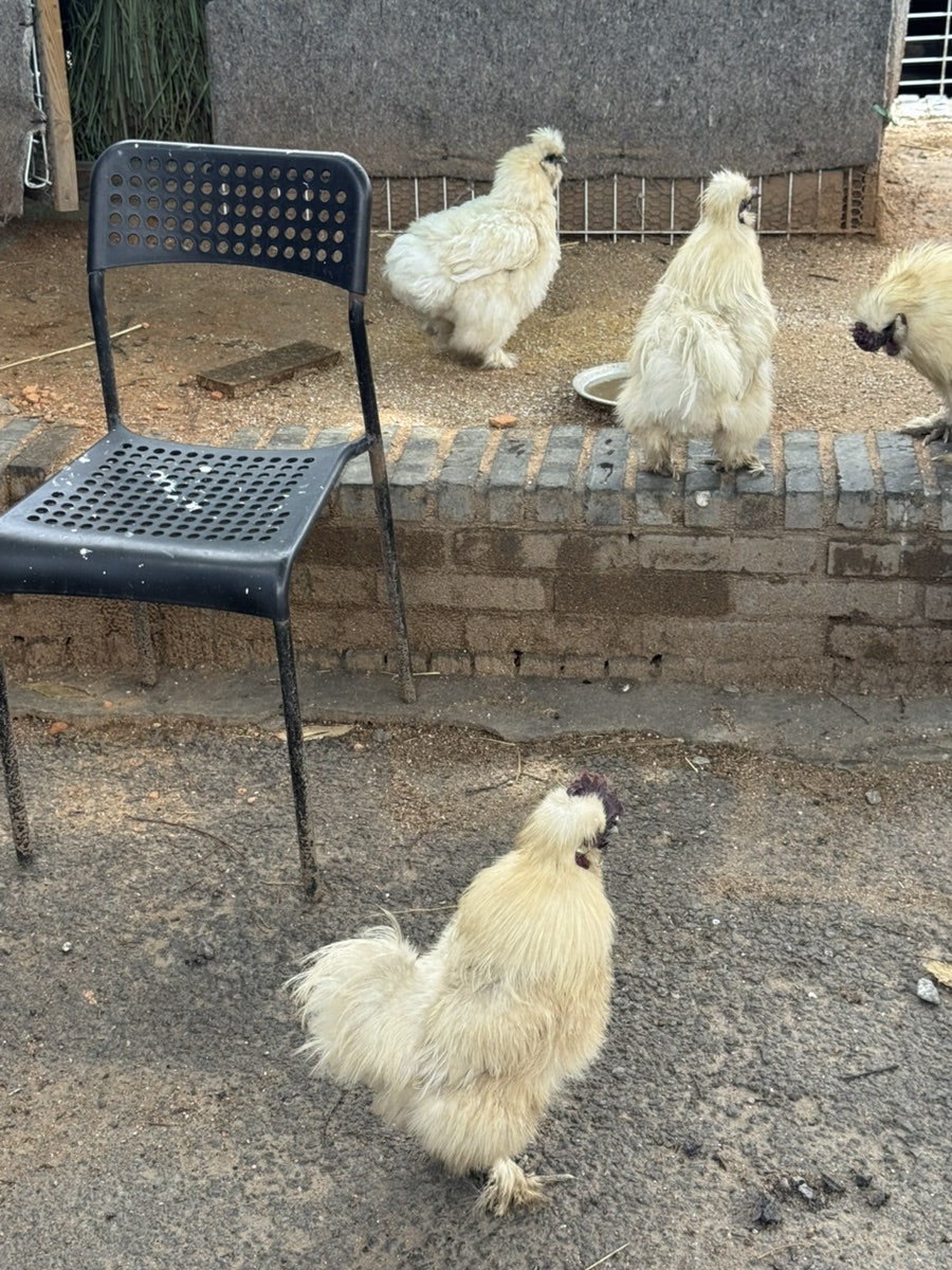청정골 사진 2