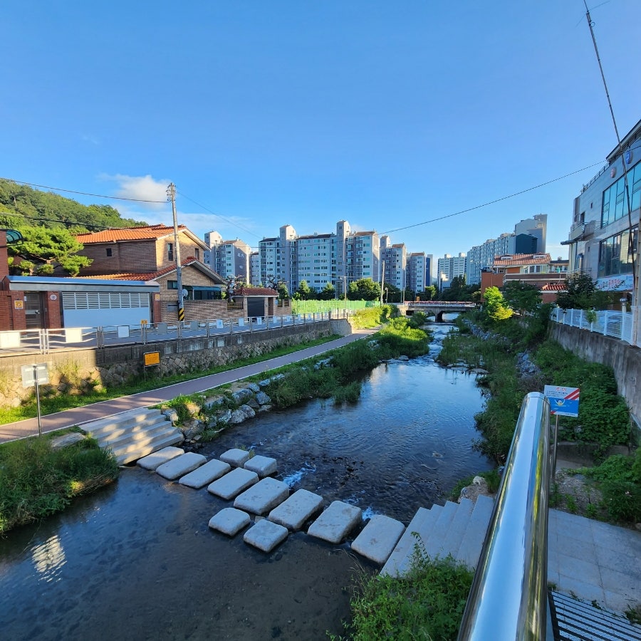 흥부샤브칼국수 사진 5