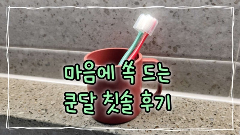 쿤달 미세모 칫솔 6개월 사용 후기