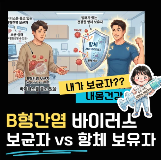 헉, 내가 B형간염 보균자라고? 90%가 틀리는 문진표 실수와 항체 '기억 면역'의 비밀
