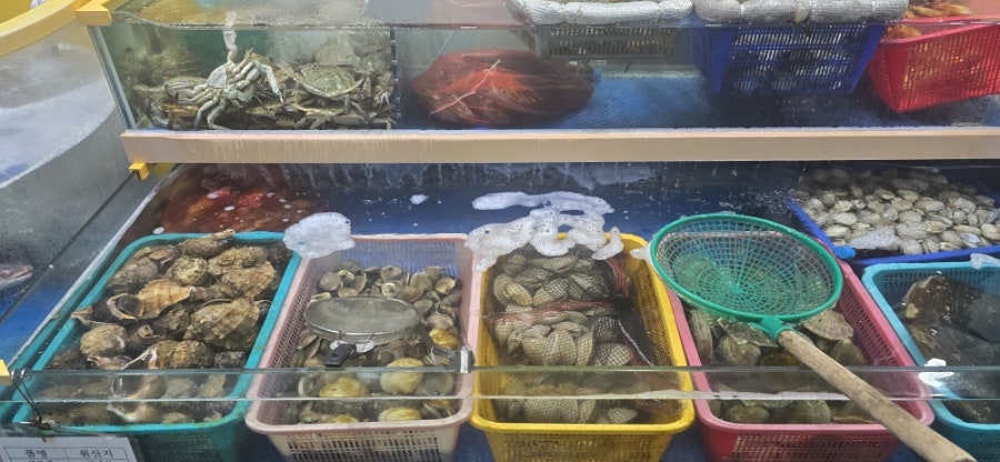 미순네 사진 4