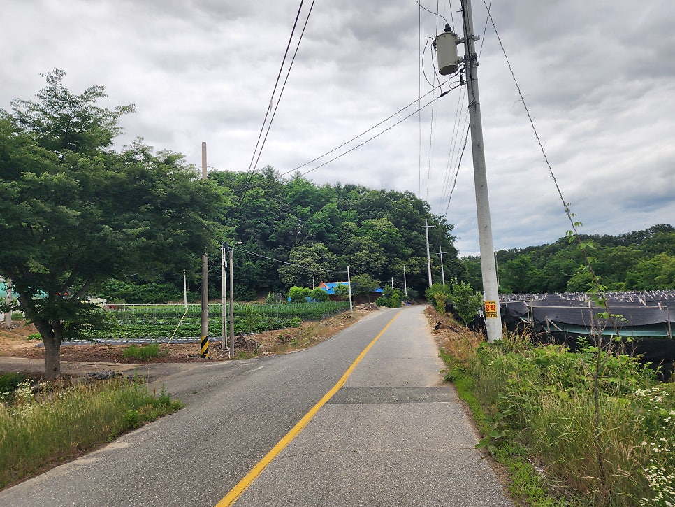 오음산 사진 4