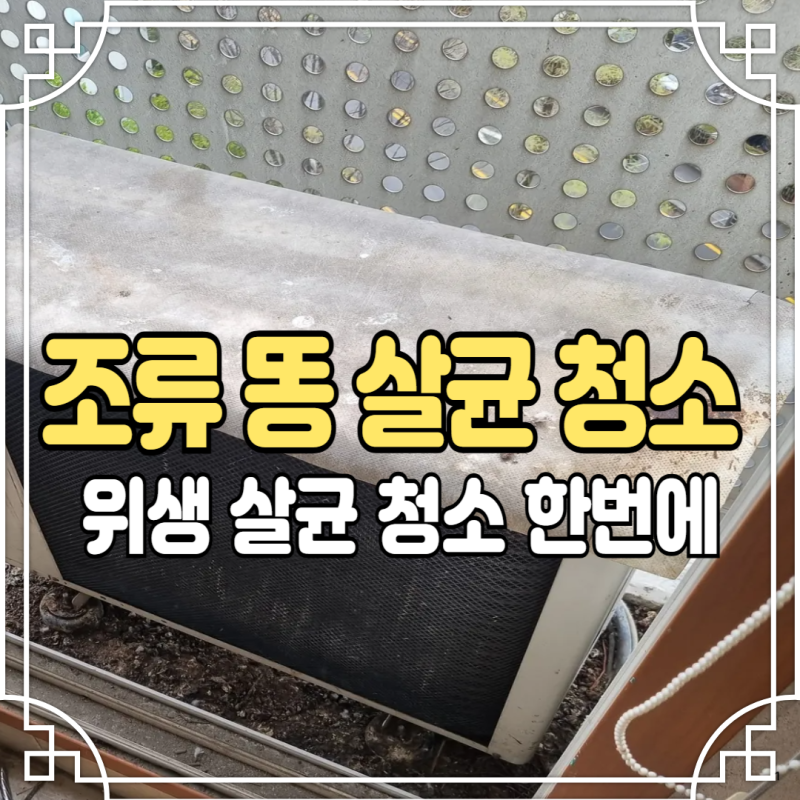 실외기실 비둘기퇴치 청소 차단 방충망 설치업체
