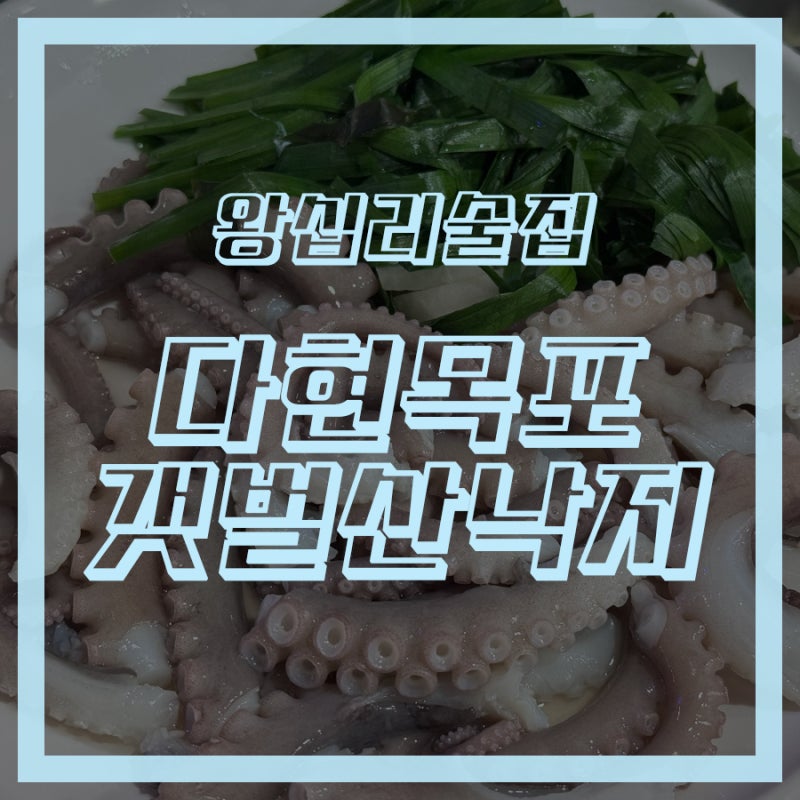 왕십리술집 다현목포갯벌산낙지 낙지탕탕이 연포탕 후기