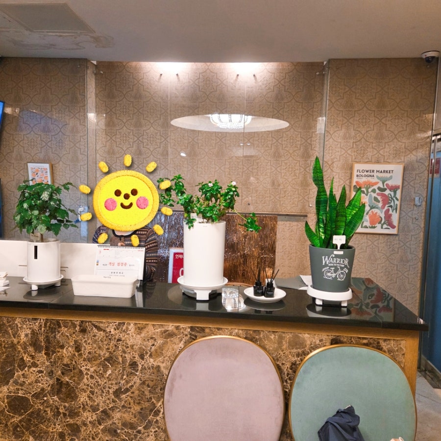 메인스테이 사진 5