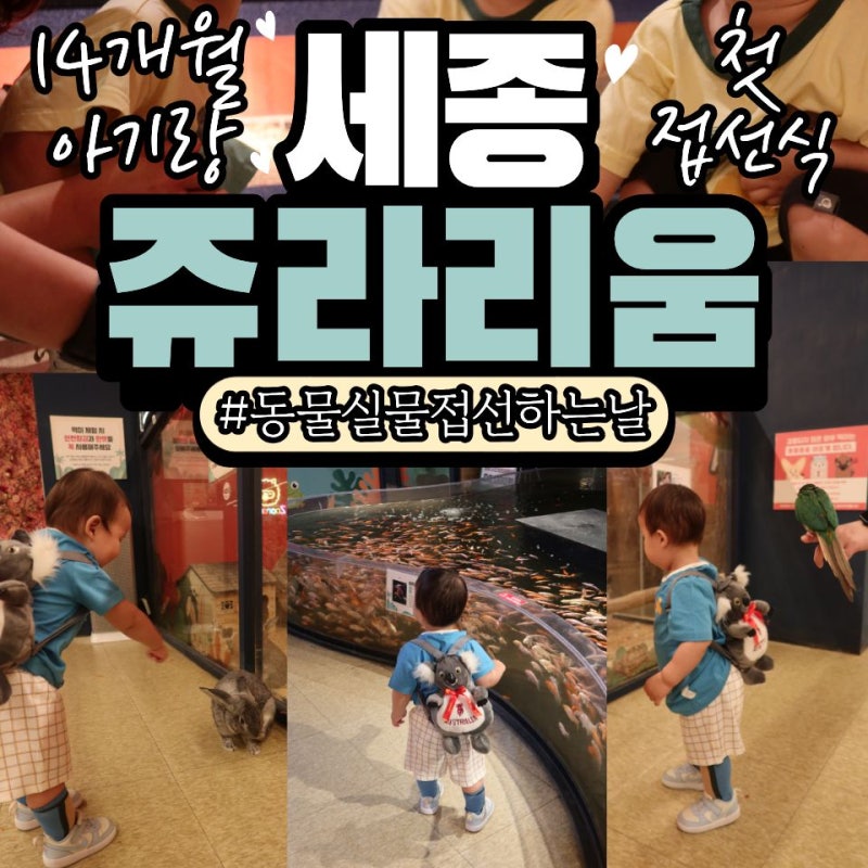 아기와 뭐하고 놀지 쥬라리움 세종점 할인꿀팁 14개월아기 체험학습 17개월까지 무료입장