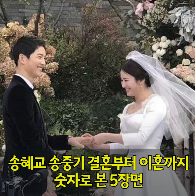 송혜교 송중기 결혼부터 이혼까지 숫자로 본 5장면