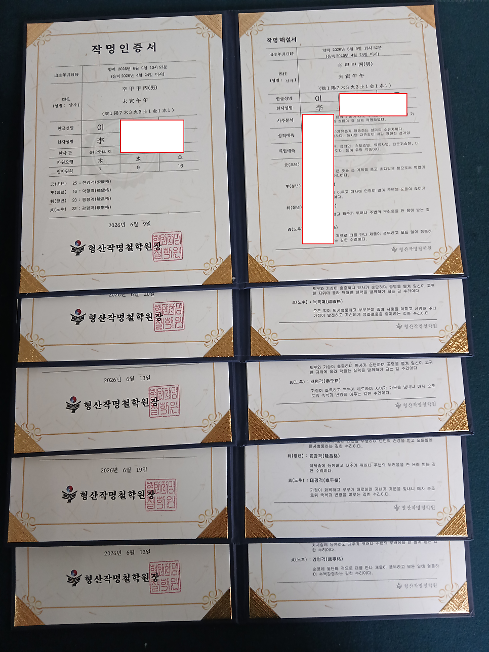 로빈 사진 5