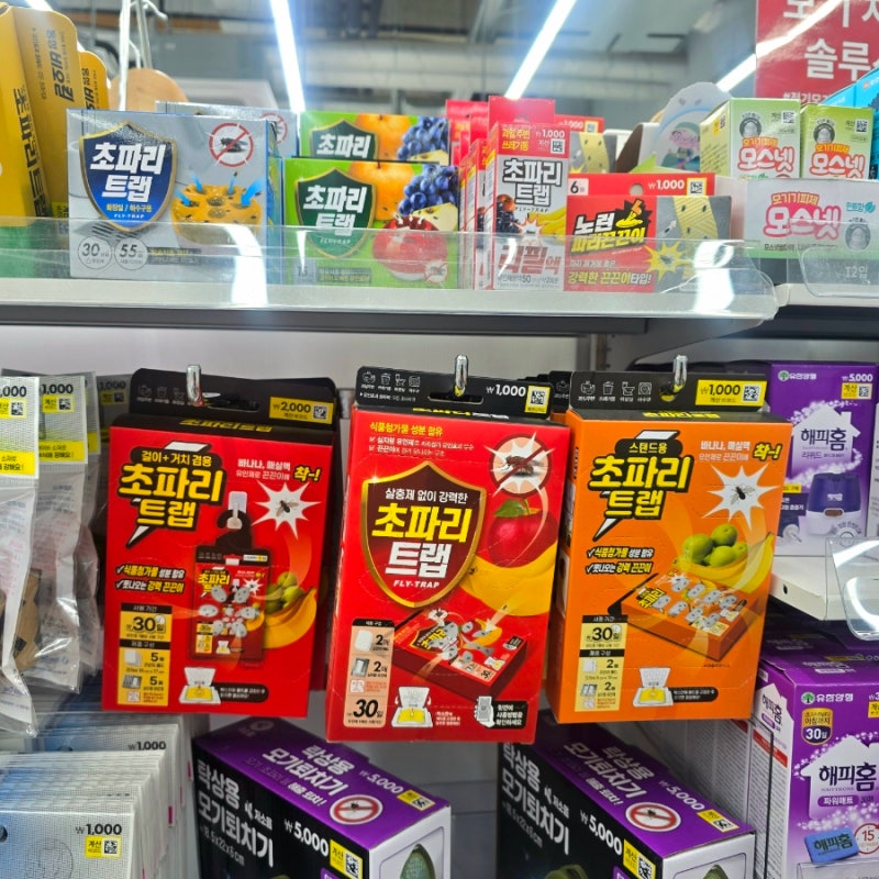 다이소 초파리 트랩 퇴치제 종류 비교, 어떤 것을 사야할까?
