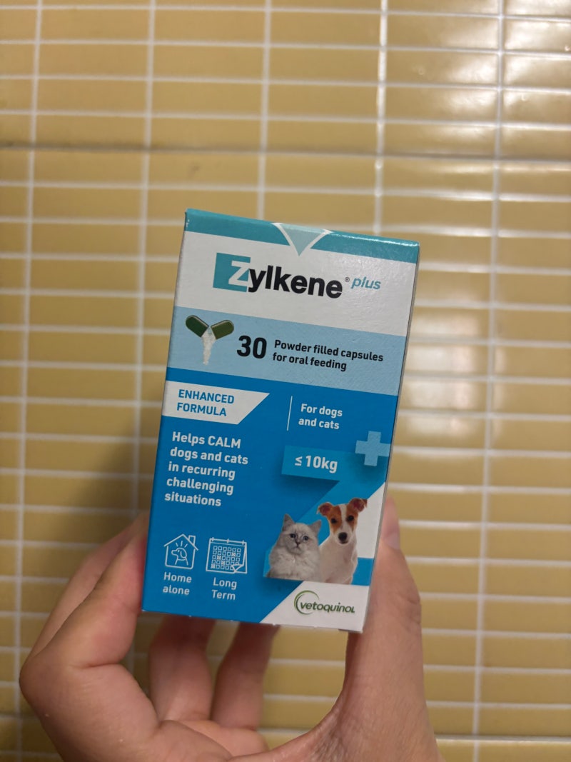 고양이 스트레스 완화 영양제 질켄 zylkene, 질켄 플러스 직접 먹여본 솔직 후기
