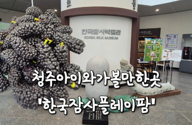 청주아이와가볼만한곳/ 한국잠사플레이팜/한국잠사박물관/사계절절썰매장/오디따기체험