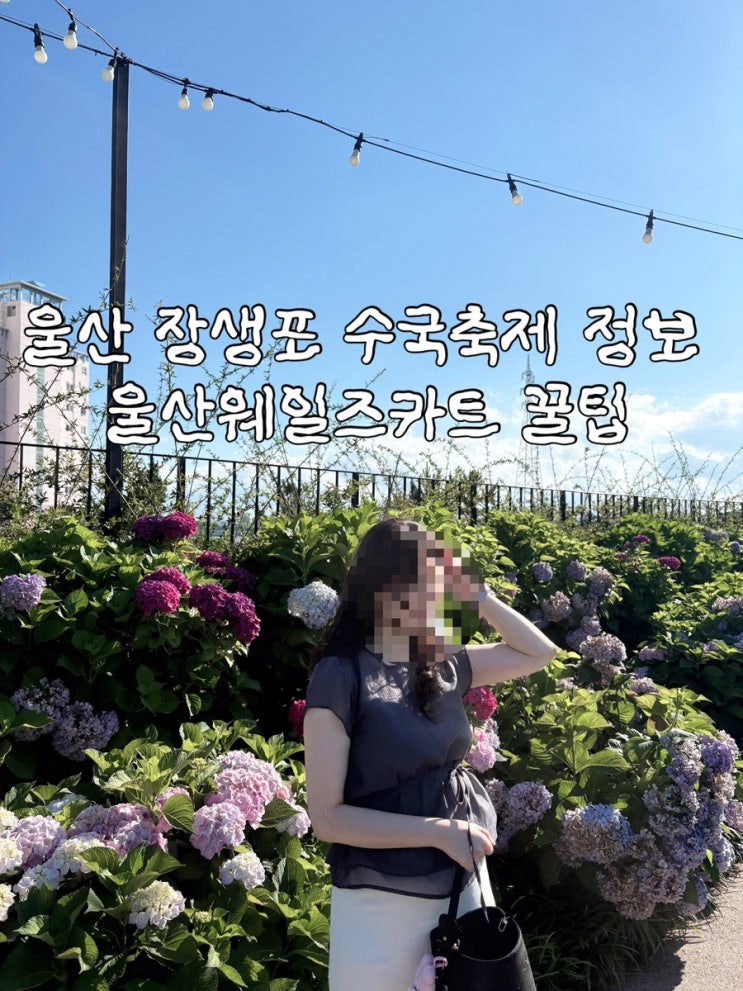 2026 <b>울산</b> 장생포수국축제 정보 <b>웨일즈</b>카트 꿀팁