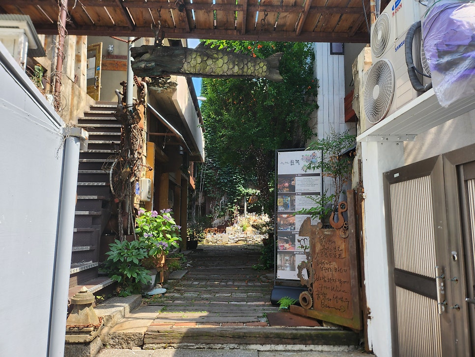 다반 사진 2