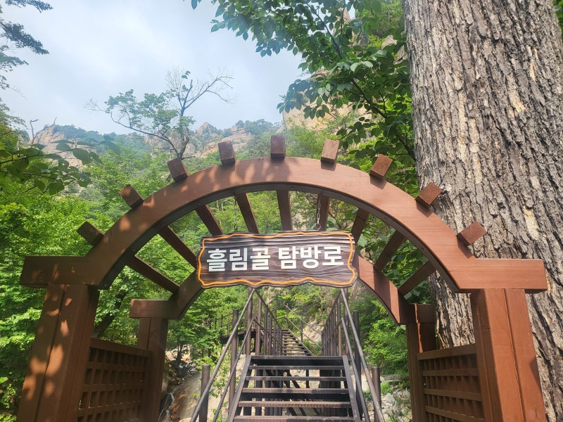 양양 오토캠핑, 방갈로 추천 — 비발디캠핑파크 설악오색점 초보자 완벽 가이드