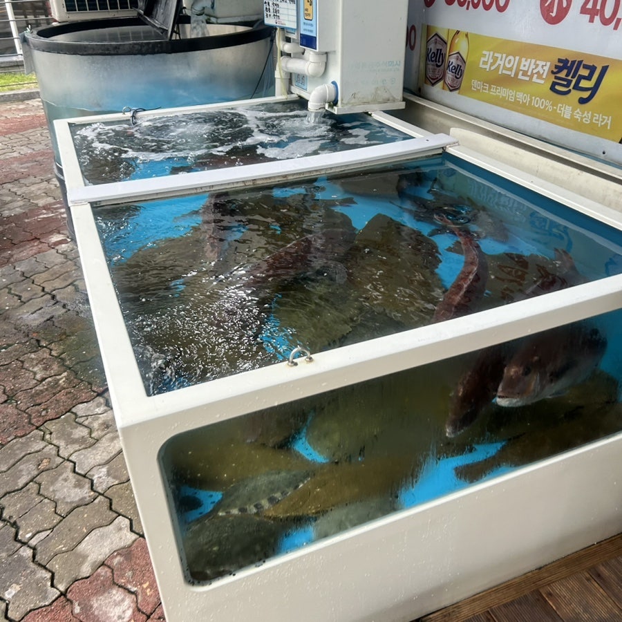 사랑회수산 사진 2
