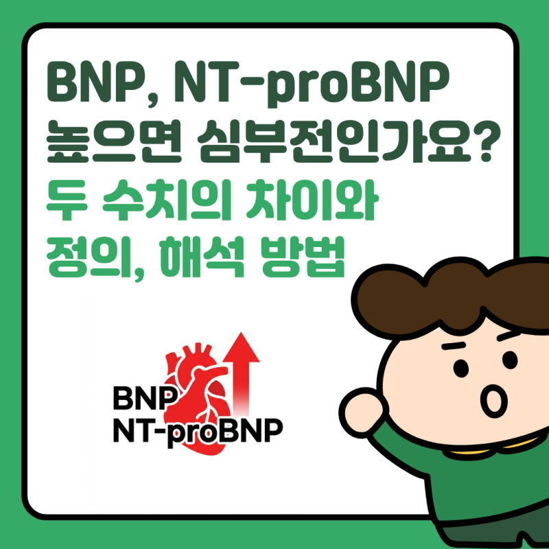BNP 수치 높으면 심부전일까? BNP와 NT-proBNP 수치 해석 방법