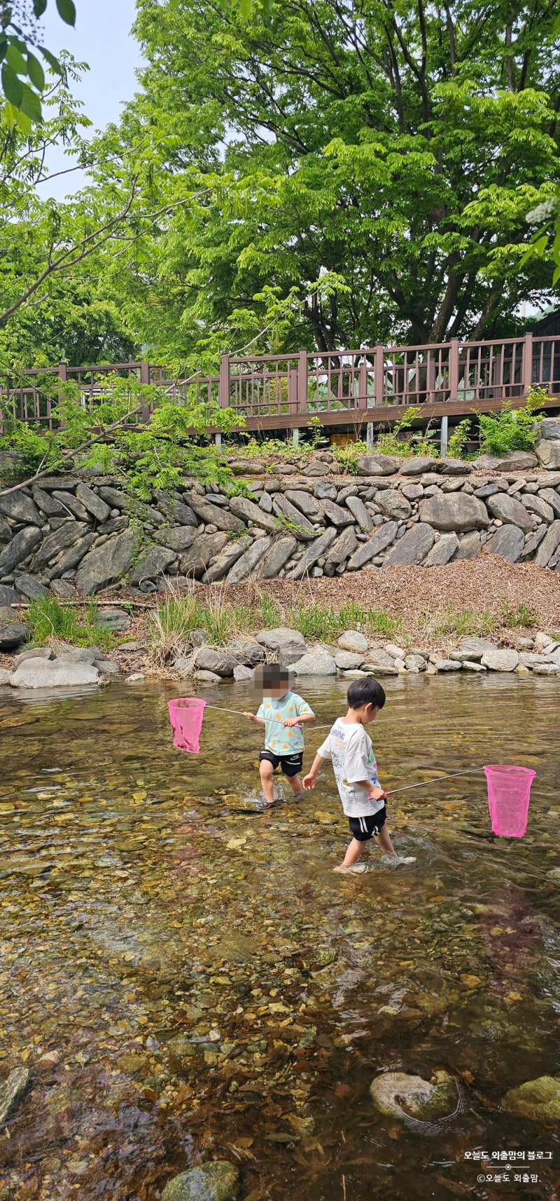 가평) 서울 근교 계곡 물놀이 캠핑장 ｜ 텐트 없어도 가능한 글램핑 어비계곡 인근 아이와 ....