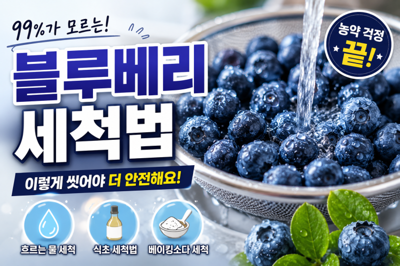 블루베리 세척법 총정리! 농약 걱정 없이 깨끗하게 씻는 가장 쉬운 방법