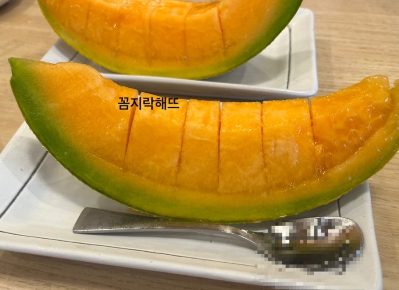 유바리 멜론, 한국에 오다 : 인천공항 유바리 멜론 반입 후기 / 유바리멜론 검역 후기