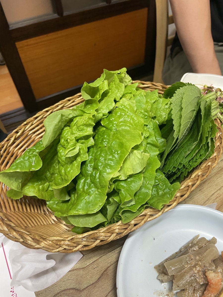 오마니 사진 5