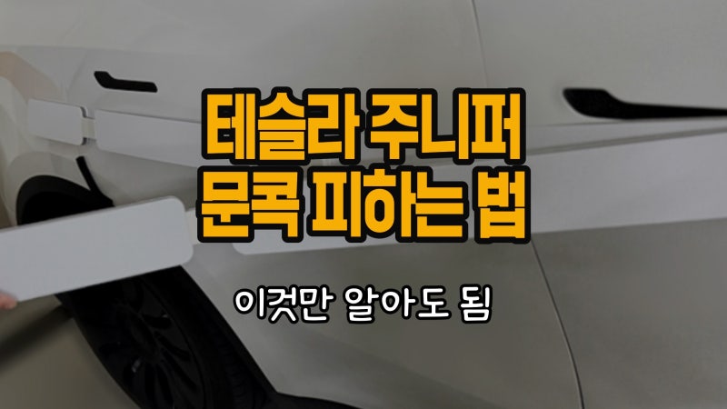 테슬라 주니퍼 문콕 안당하려면, 방지하는 방법 필독