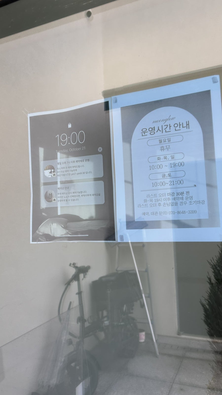 문그로우 사진 4